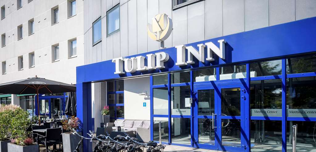 Tulip Anvers